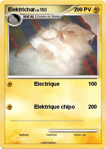 Pokemon Elektrichat
