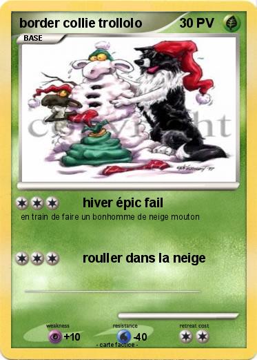 Pokemon border collie trollolo