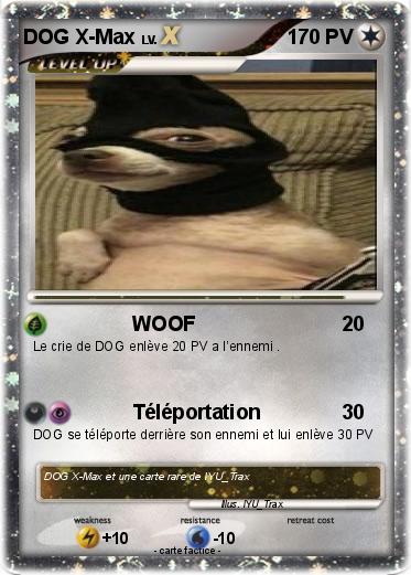 Pokemon DOG X-Max