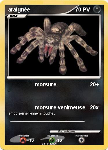 Pokemon araignée