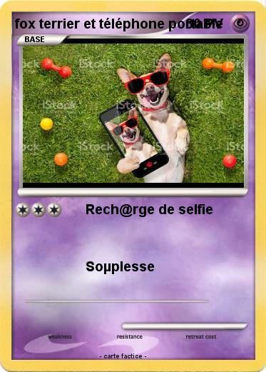 Pokemon fox terrier et téléphone portable