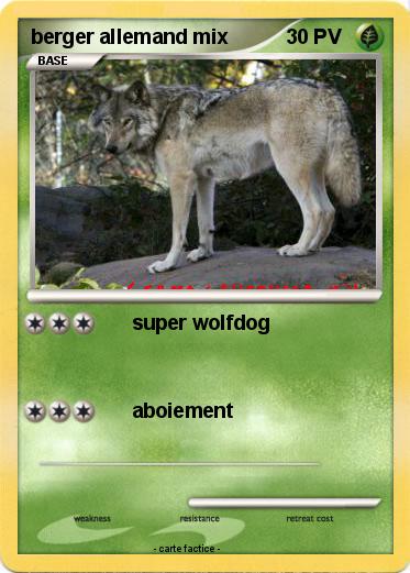 Pokemon berger allemand mix