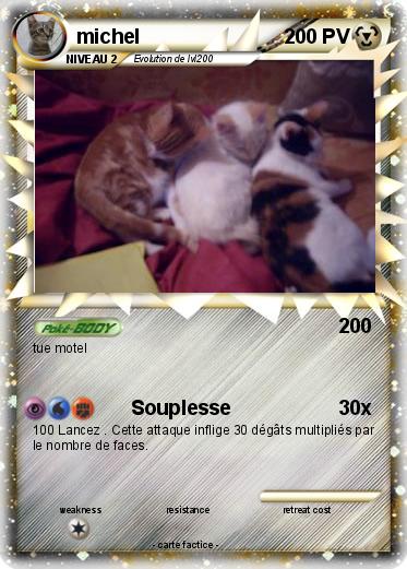 Pokemon michel