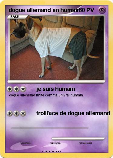 Pokemon dogue allemand en humain