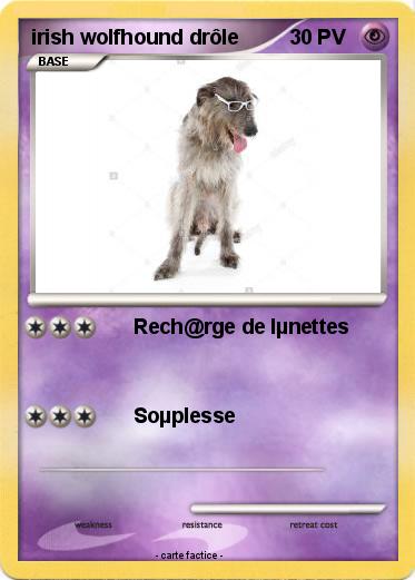Pokemon irish wolfhound drôle