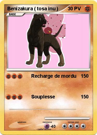 Pokemon Benizakura ( tosa inu )