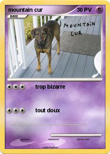 Pokemon mountain cur