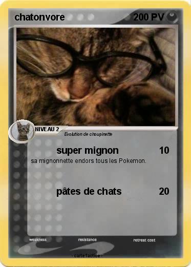 Pokemon chatonvore