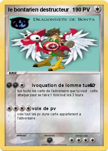 Pokemon le bontarien destructeur  1