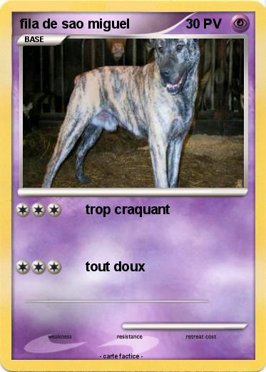 Pokemon fila de sao miguel