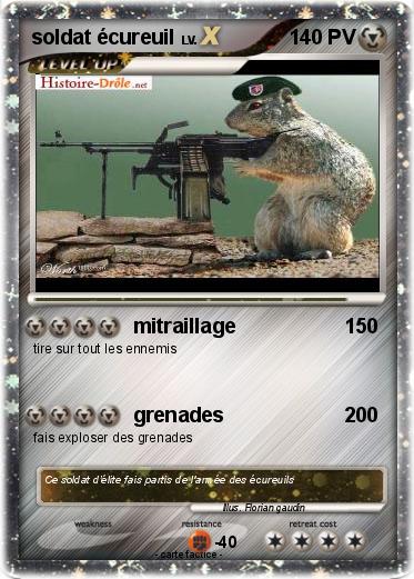 Pokemon soldat écureuil