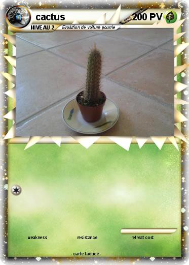 Pokemon cactus