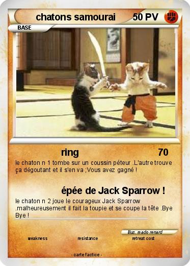 Pokemon chatons samourai