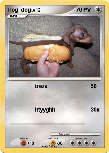 Pokemon hog  dog