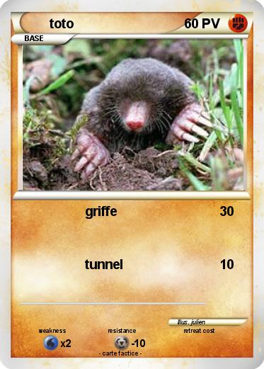 Pokemon toto