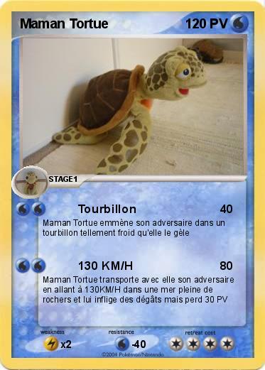 Pokemon Maman Tortue