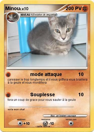 Pokemon Minou