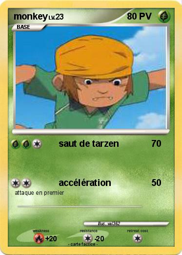 Pokemon monkey