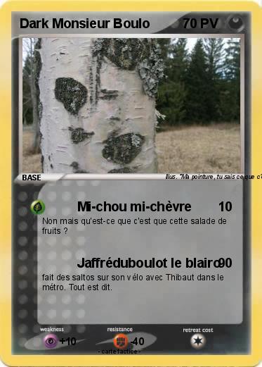Pokemon Dark Monsieur Boulo