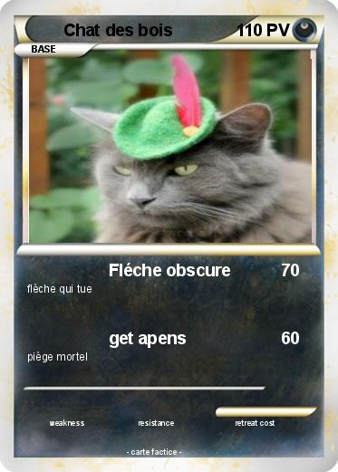 Pokemon Chat des bois