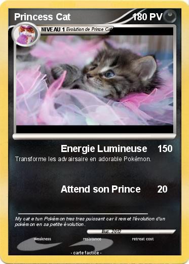 Pokemon Princess Cat
