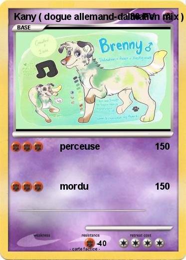 Pokemon Kany ( dogue allemand-dalmatien mix )