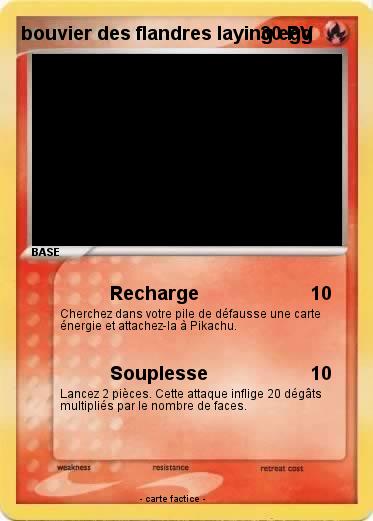 Pokemon bouvier des flandres laying egg