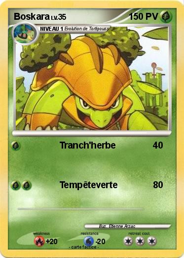 Pokemon Boskara