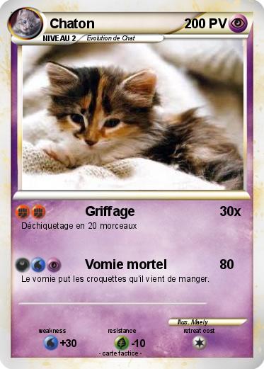Pokemon Chaton