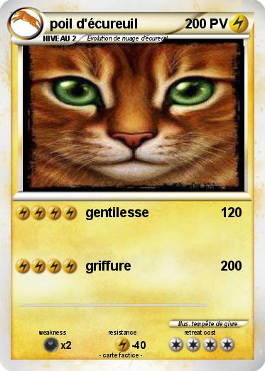 Pokemon poil d'écureuil