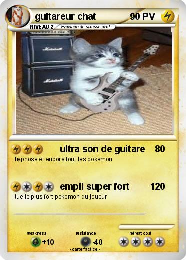 Pokemon guitareur chat