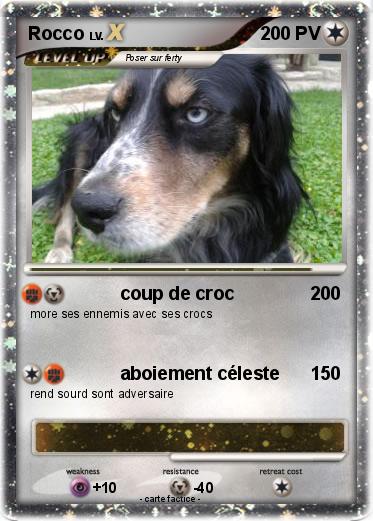 Pokemon Rocco