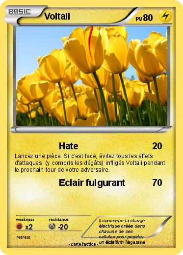 Pokemon Voltali