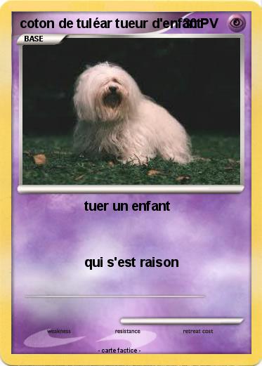 Pokemon coton de tuléar tueur d'enfant