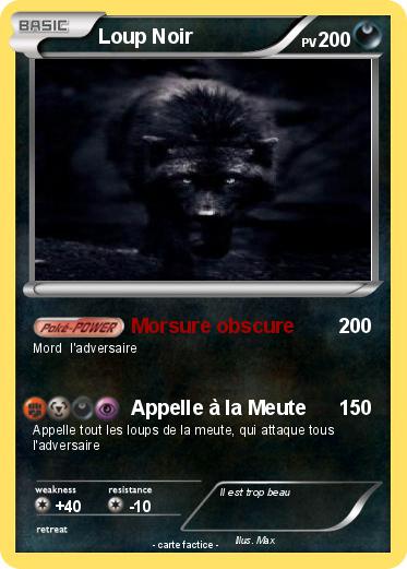 Pokemon Loup Noir