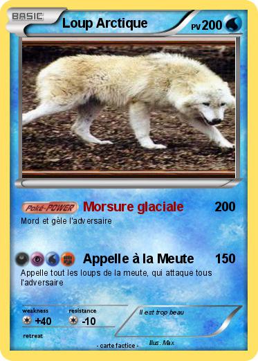 Pokemon Loup Arctique