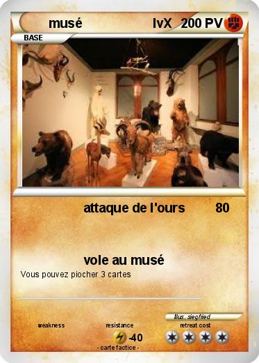 Pokemon musé                    lvX