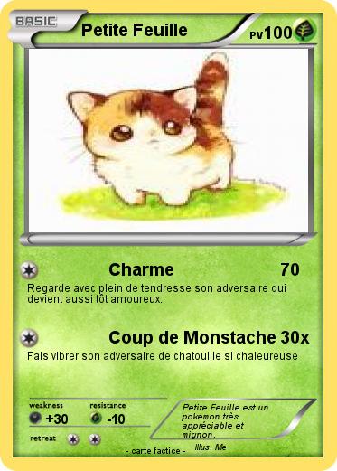 Pokemon Petite Feuille
