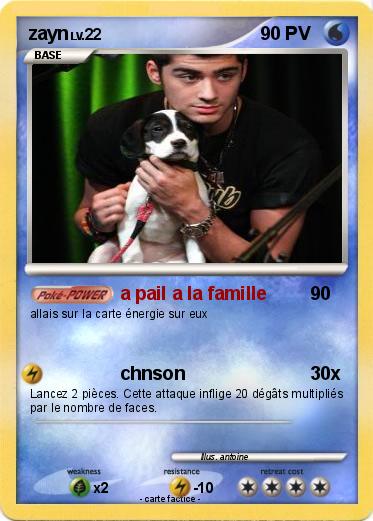 Pokemon zayn