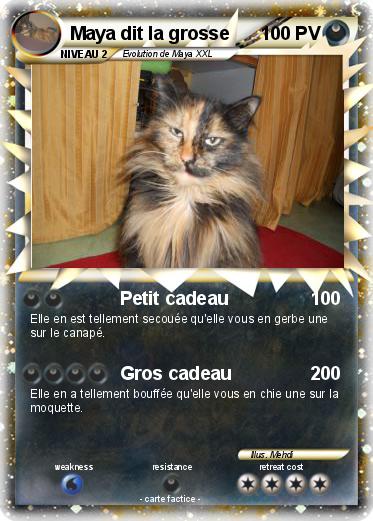 Pokemon Maya dit la grosse