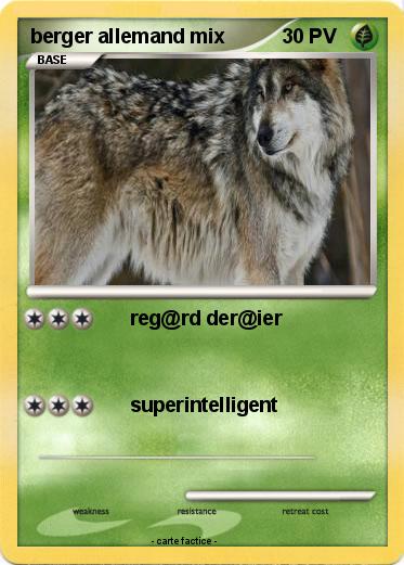 Pokemon berger allemand mix