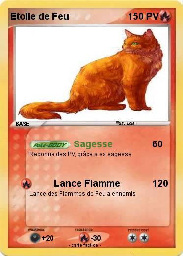 Pokemon Etoile de Feu