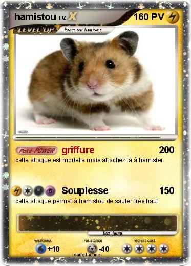Pokemon hamistou