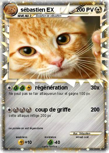 Pokemon sébastien EX