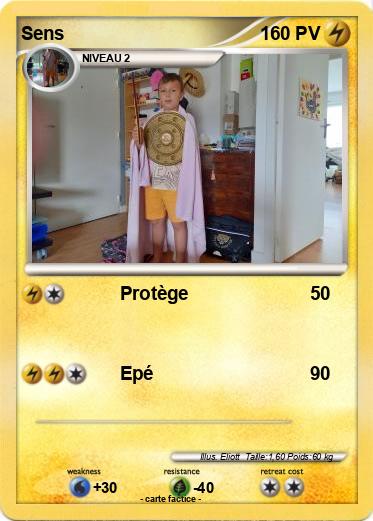 Pokemon Sens