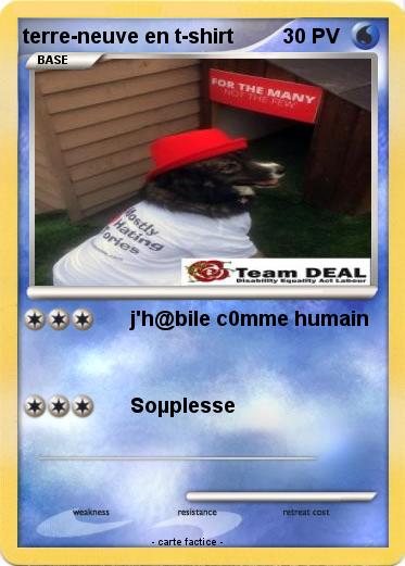 Pokemon terre-neuve en t-shirt