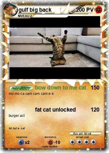 Pokemon gulf big back