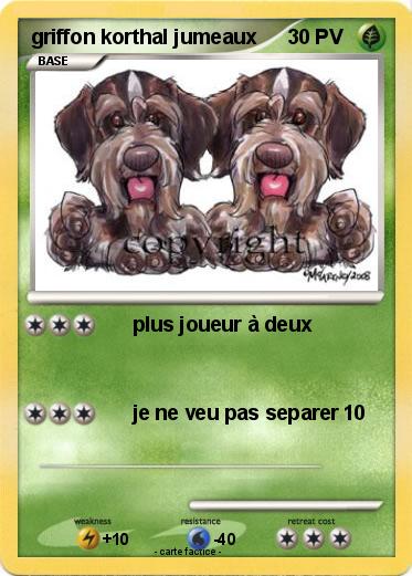 Pokemon griffon korthal jumeaux