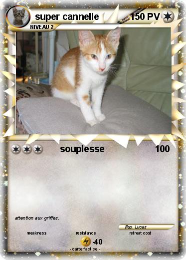 Pokemon super cannelle