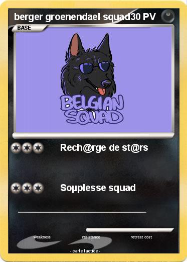 Pokemon berger groenendael squad